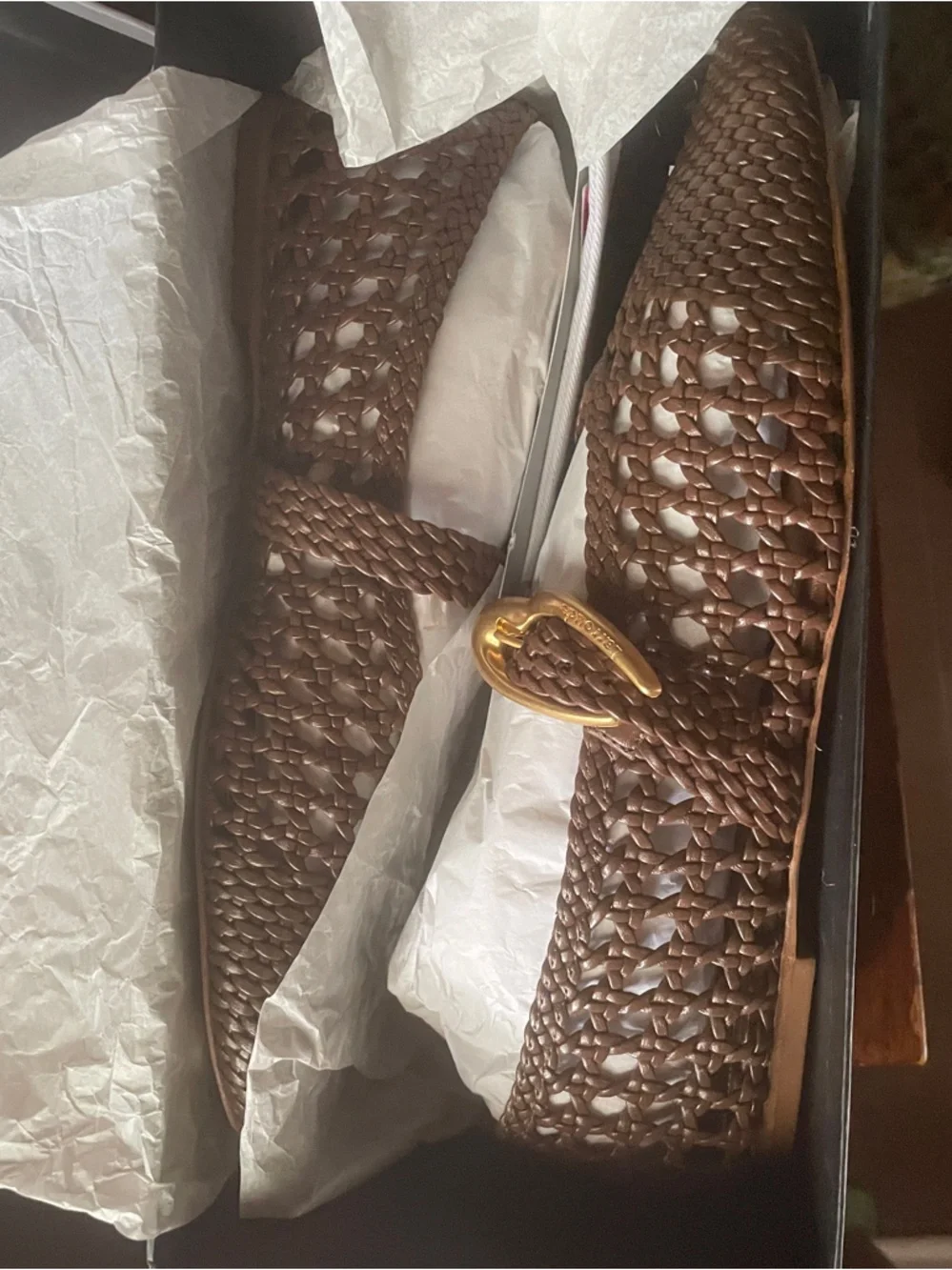 Larrude Verona ballet flats